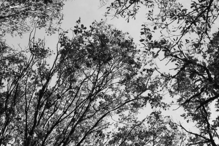 My Story and Miscarriage