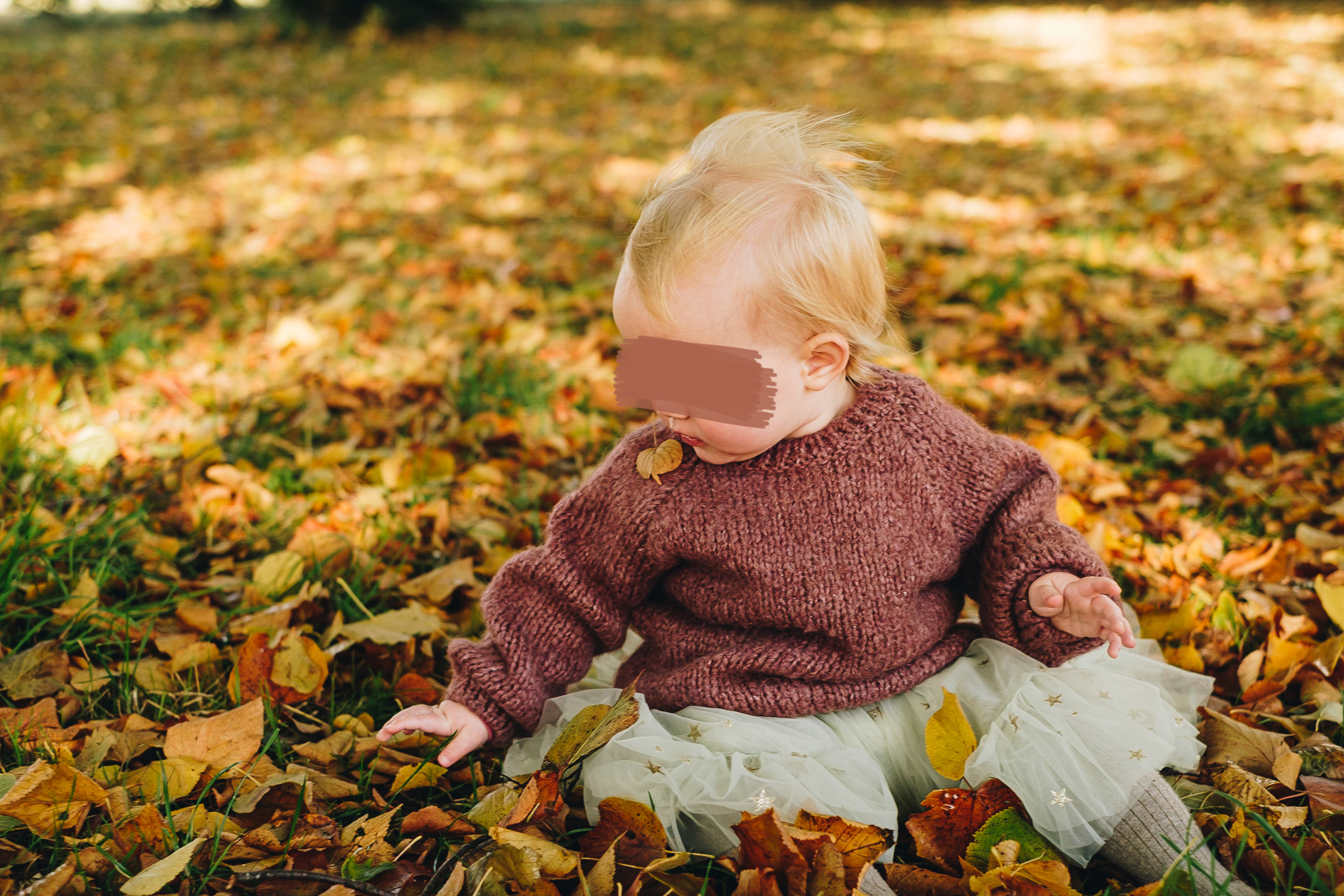 Toddler grabbing hold of Autumn leaves in Graves Park