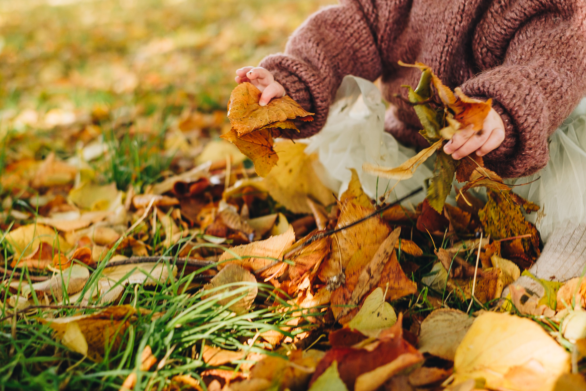 Toddler grabbing hold of Autumn leaves in Graves Park